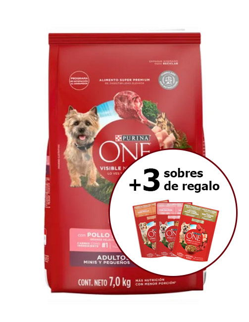 Purina One adulto minis y pequeños cordero 7 kg + 3 sobres de regalo